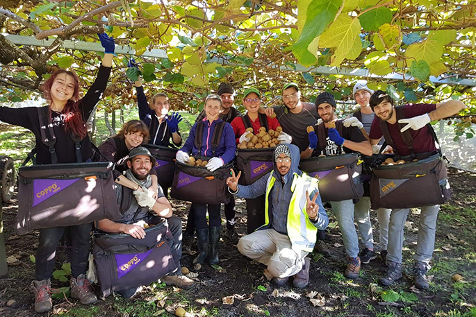 Newsie Kiwifruit industry paints positive picture The 